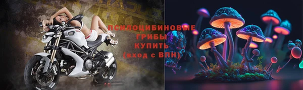 стафф Абдулино