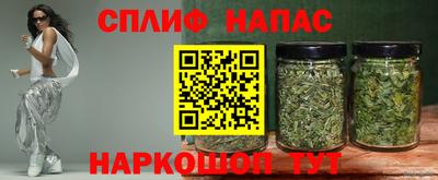 индика Лесосибирск