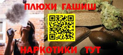 индика Лесосибирск