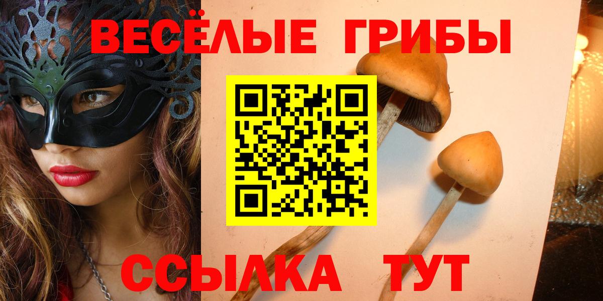 Галлюциногенные грибы мухоморы Энгельс