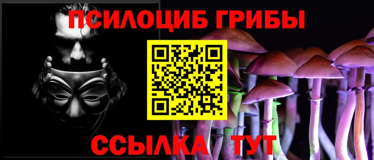 Энгельс  Псилоцибиновые грибы ЛСД  Вход с VPN 