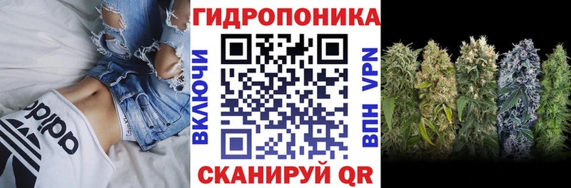 Канабис план  Энгельс 